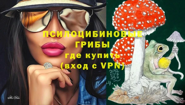 ALPHA PVP Алексеевка