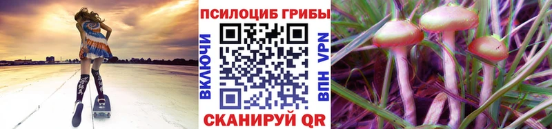 купить  сайты  Собинка  Псилоцибиновые грибы Psilocybine cubensis 