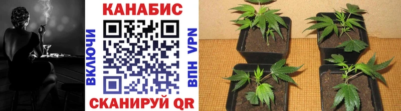 Конопля Ganja  наркотики  Собинка 
